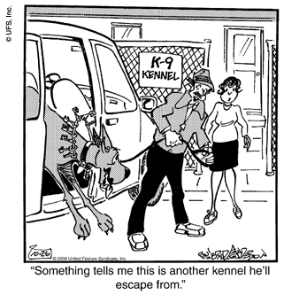 marmaduke